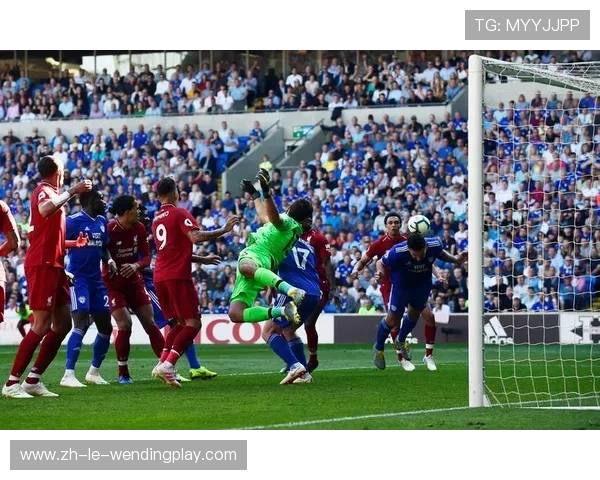 卡迪夫城在英超赛场上的战绩表现如何? 卡迪夫城在英超赛场上的战绩表现如何?