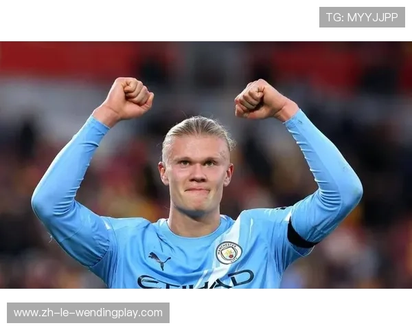 英超球员个人进球数统计榜:谁是效率王? 英超球员个人进球数统计榜:谁是效率王?