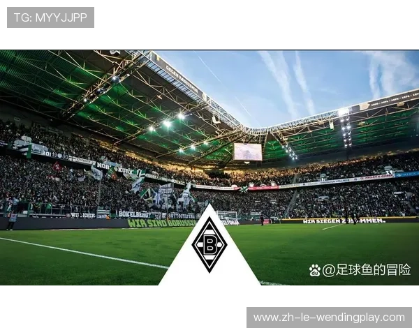 德甲球队名称与缩写代码合集